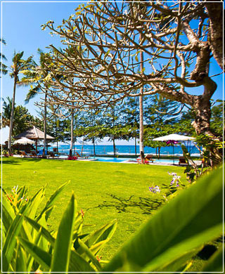 Grass lawn in villa.jpg