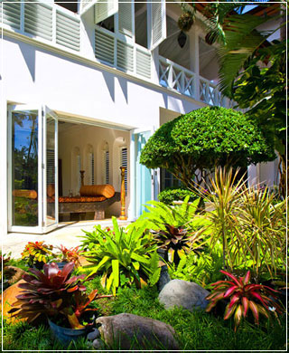 Lush tropical Bali garden